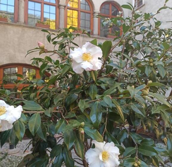 B&b Di Charme Palazzo Lambertenghi