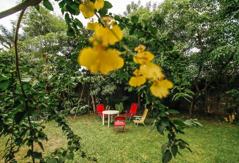 مبيت وإفطار A Alquiler Temporario Arrullo De Luna