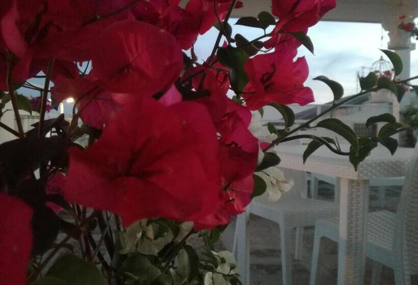 Bed and Breakfast Casa Del Corso