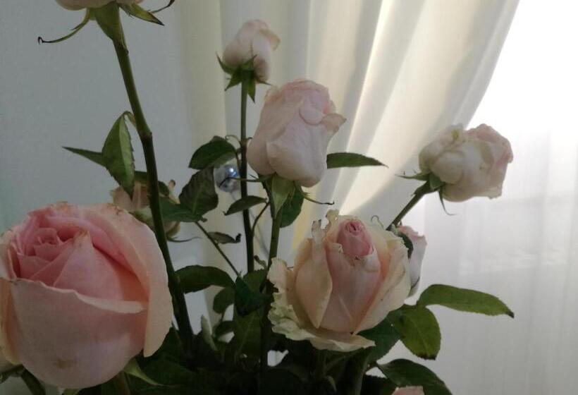 Bed and Breakfast Casa Del Corso