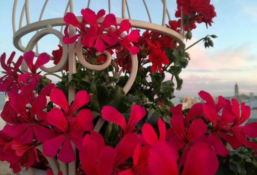 Bed and Breakfast Casa Del Corso