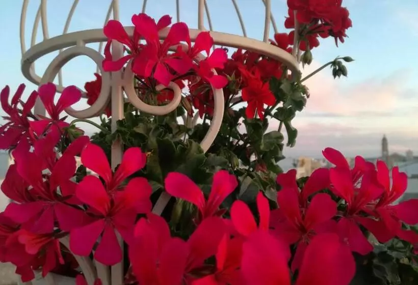 Aamiaismajoitus (B&B) Casa Del Corso