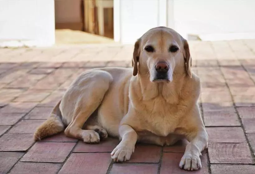 Aamiaismajoitus (B&B) Casa Largo Do Poço Guesthouse