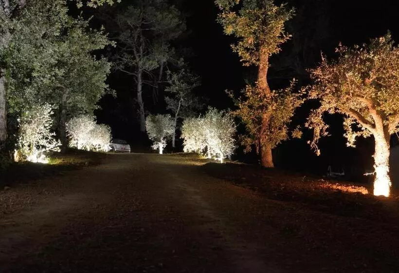 ベッドアンドブレックファースト Sous Les Oliviers   Jacuzzi   Studios De Standing Tout équipés