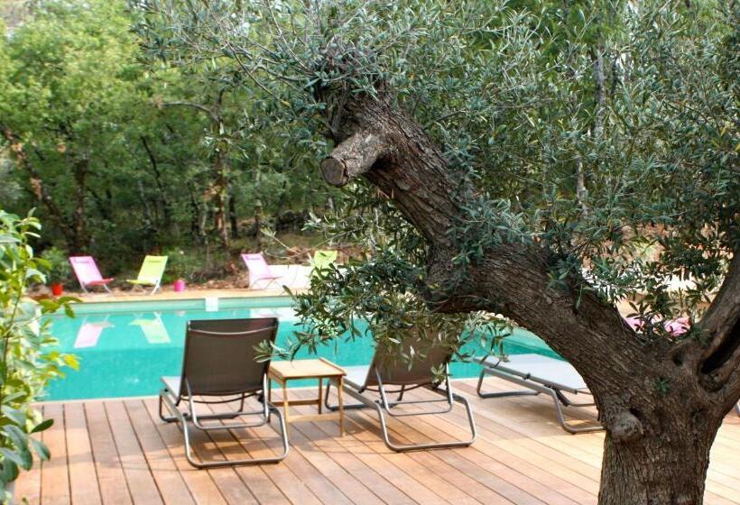 צימר Sous Les Oliviers   Jacuzzi   Studios De Standing Tout équipés