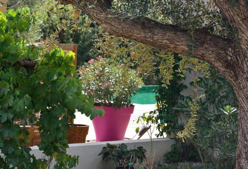 צימר Sous Les Oliviers   Jacuzzi   Studios De Standing Tout équipés