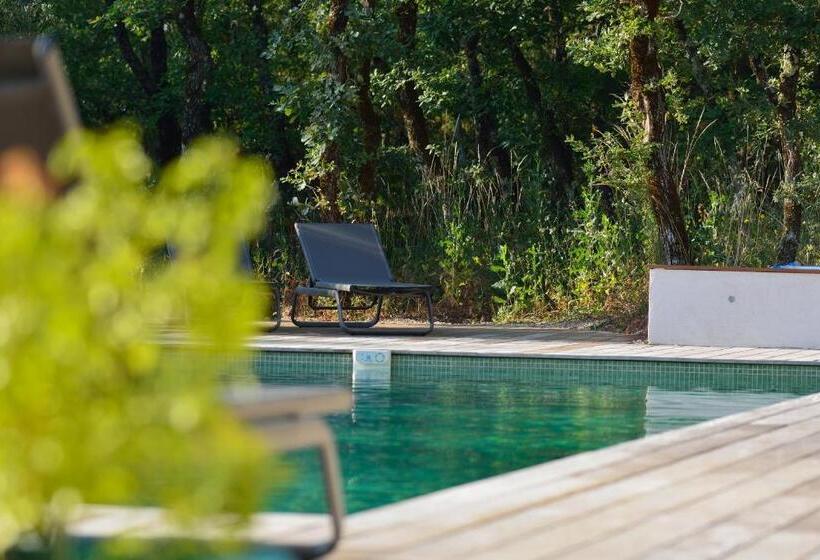 צימר Sous Les Oliviers   Jacuzzi   Studios De Standing Tout équipés