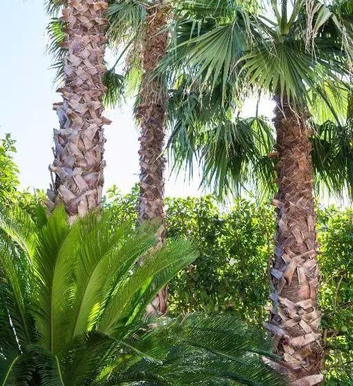 Villa Lazzari B&b Tra I Due Mari