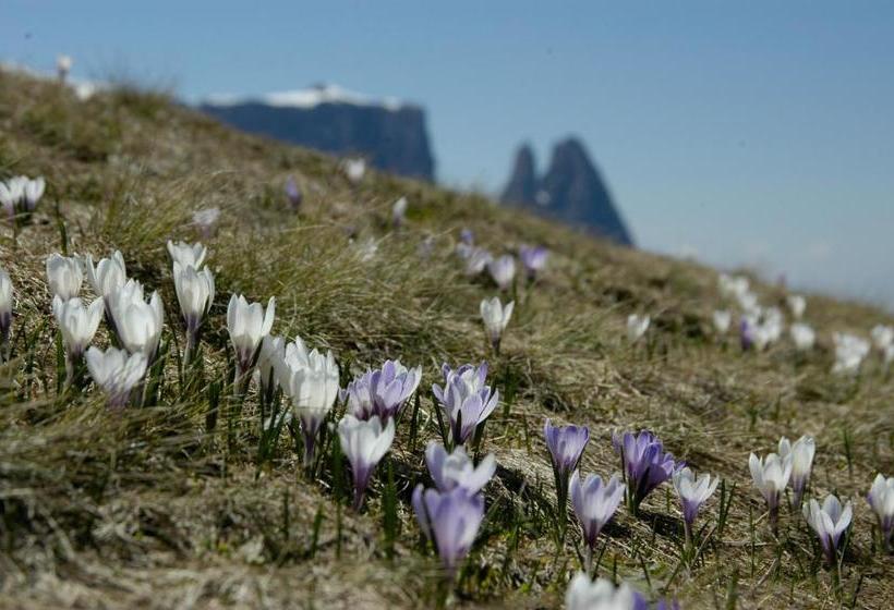 בית מלון כפרי Profanter