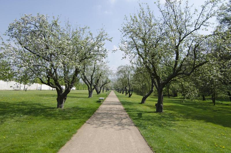 Отель The Granary