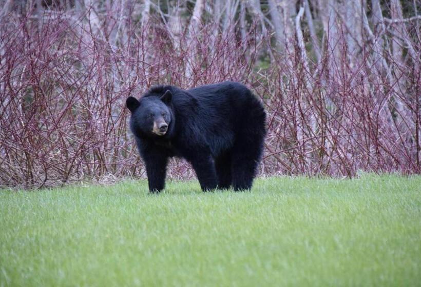 모텔 Les Cabines Sur Mer