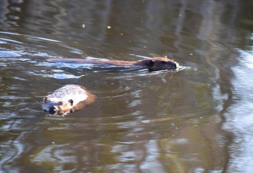 모텔 Les Cabines Sur Mer