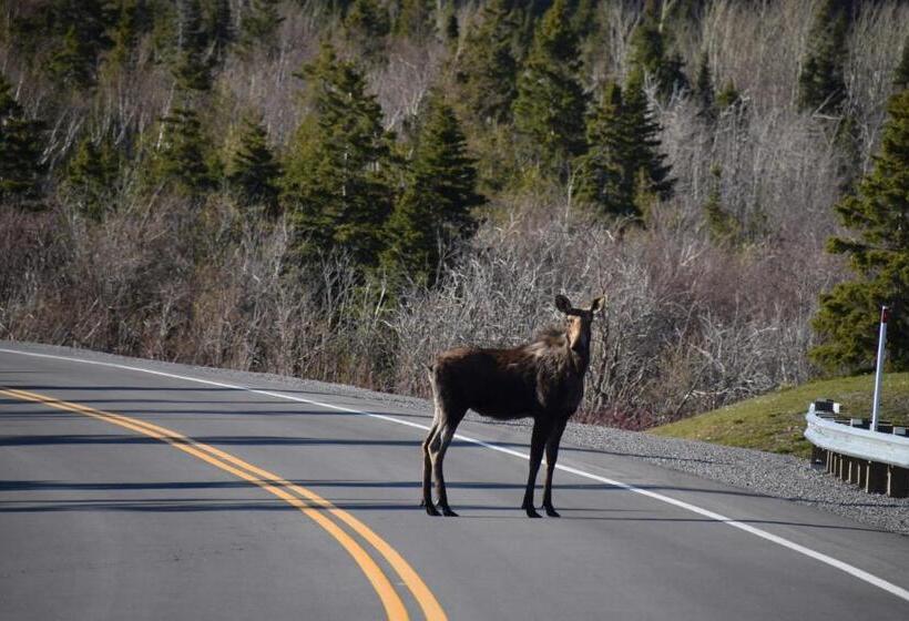 모텔 Les Cabines Sur Mer