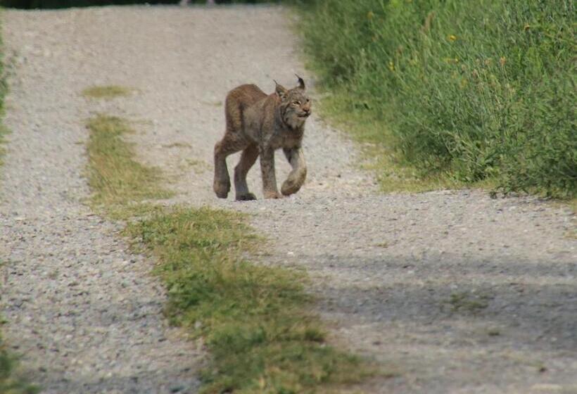 모텔 Les Cabines Sur Mer