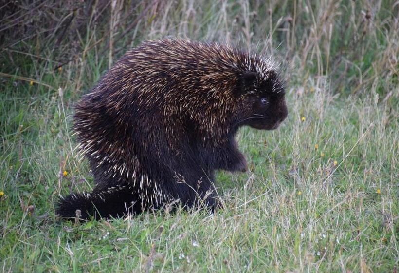 모텔 Les Cabines Sur Mer