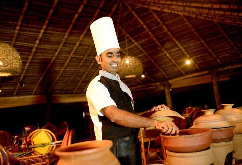 Palagama Beach Resort