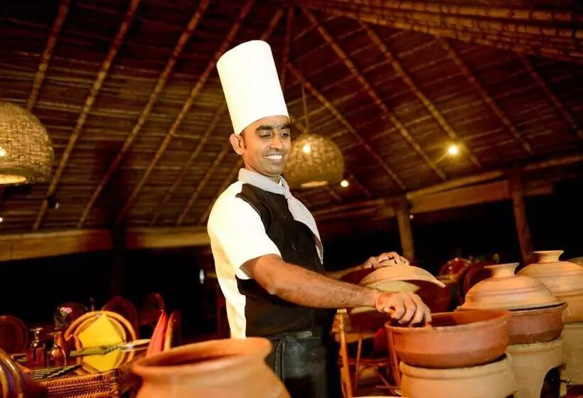 Palagama Beach Resort