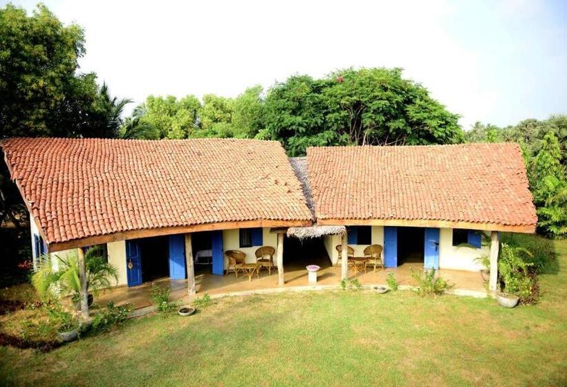 Palagama Beach Resort