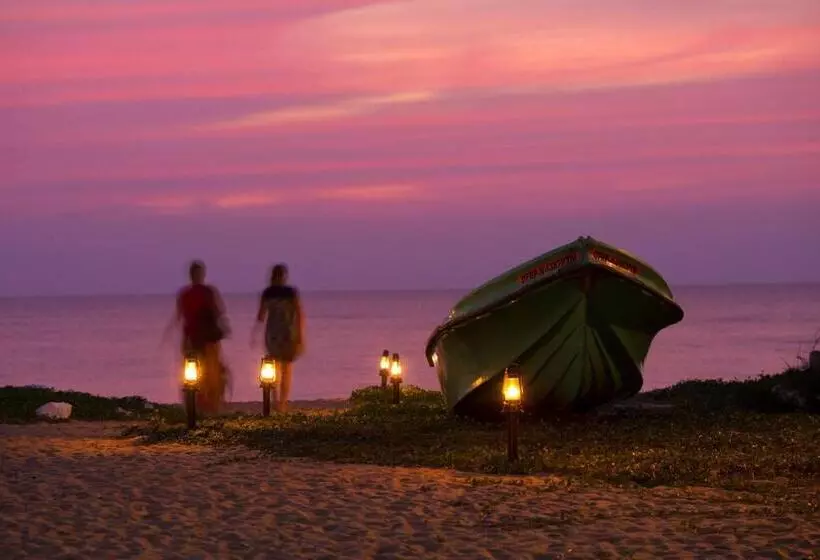 Palagama Beach Resort