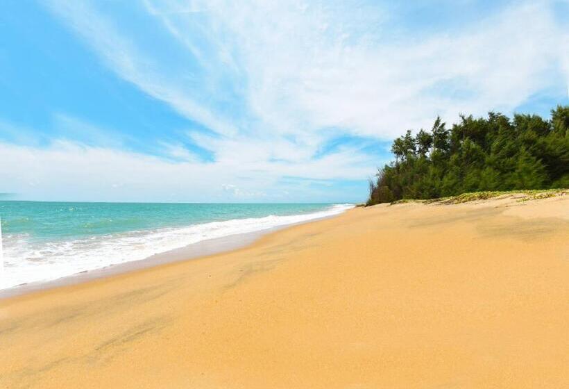 Palagama Beach Resort