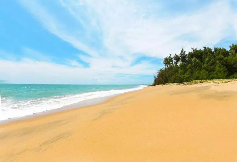 Palagama Beach Resort