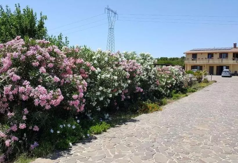 B&b Su Tintillu