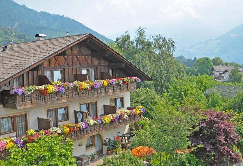 Bed and Breakfast Garni Pöhl