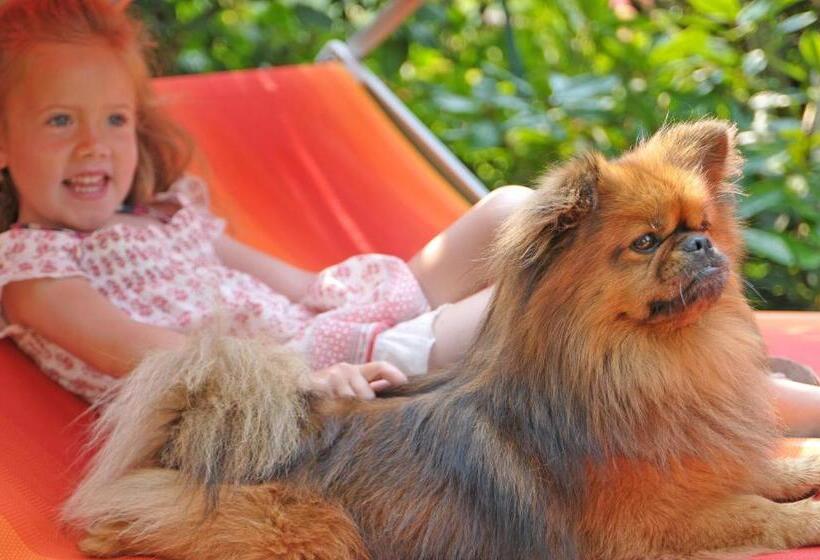 Bed and Breakfast Garni Pöhl