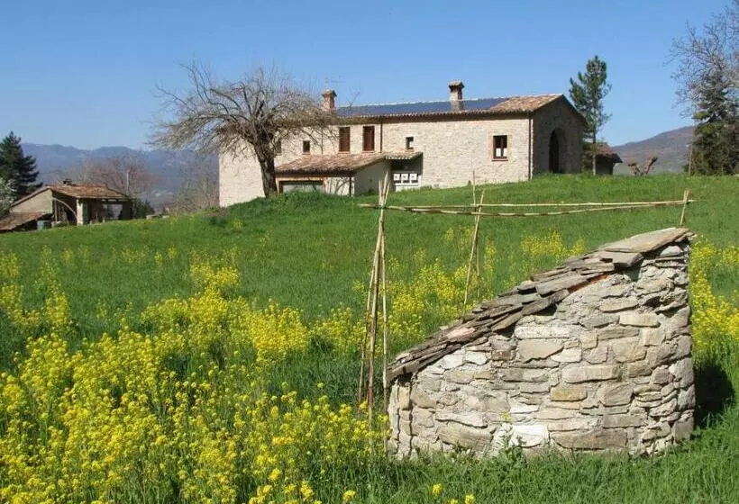 Aamiaismajoitus (B&B) Il Gelso Room&breakfast