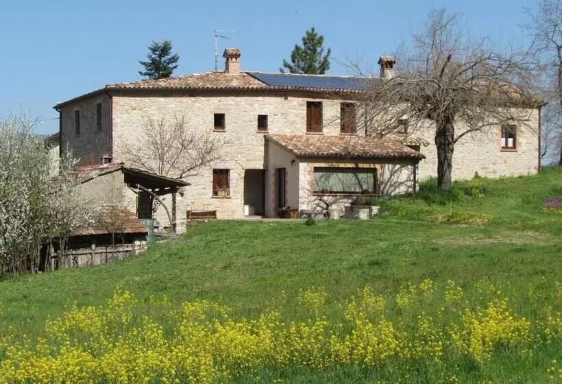 Aamiaismajoitus (B&B) Il Gelso Room&breakfast