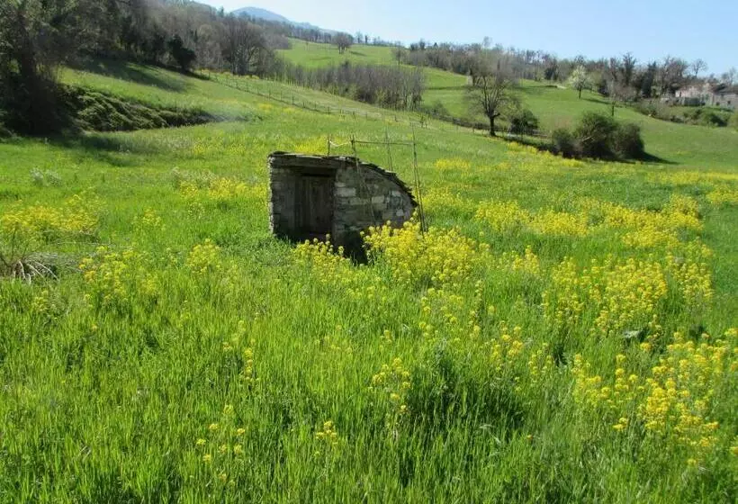 Aamiaismajoitus (B&B) Il Gelso Room&breakfast