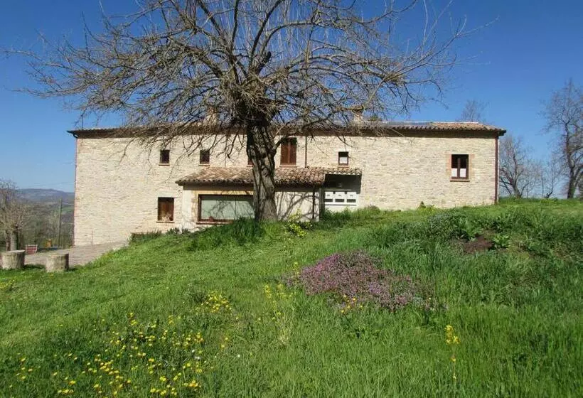 Aamiaismajoitus (B&B) Il Gelso Room&breakfast