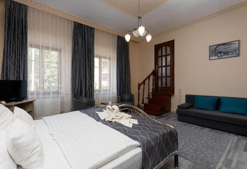 مبيت وإفطار Illés