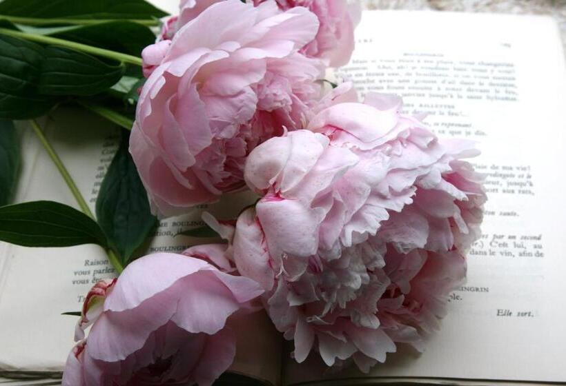 ベッドアンドブレックファースト La Maison Lion