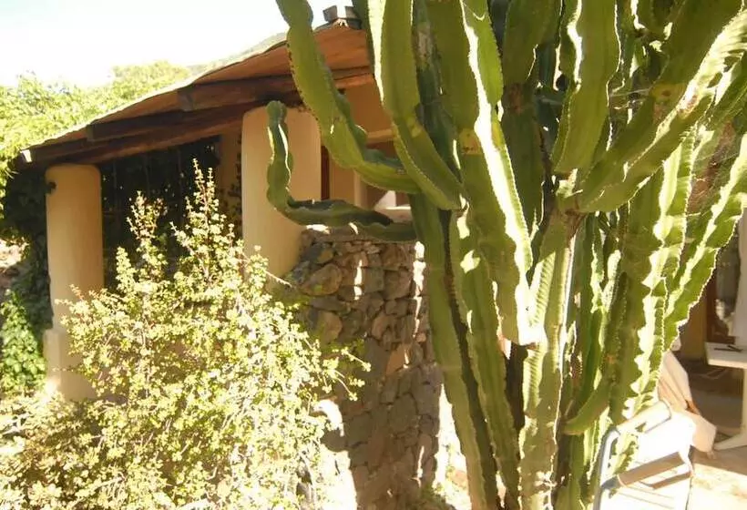 Eoliano B&b