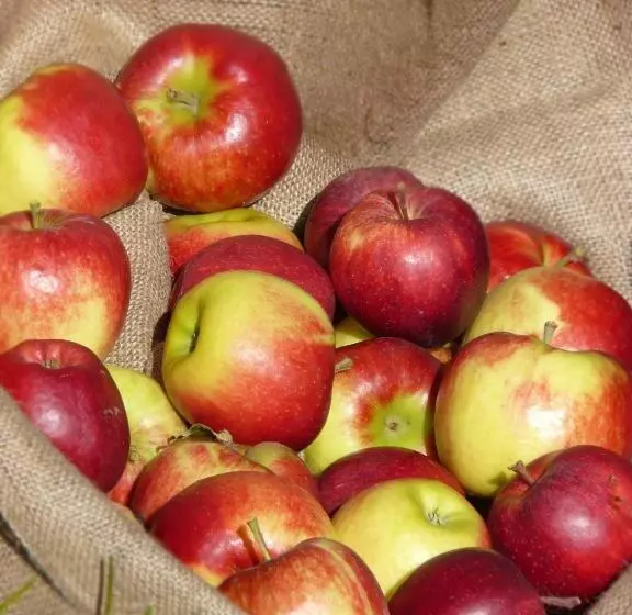 ホテル B & B Apartments Ortlerblick