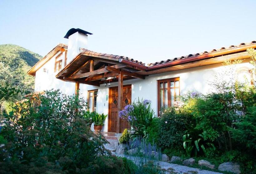 هتل Boutique Solaz Bella Vista De Colchagua