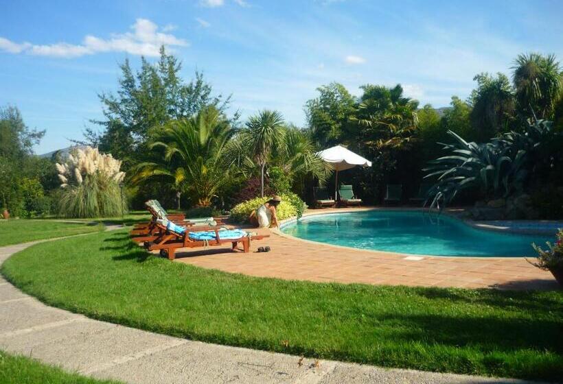 هتل Boutique Solaz Bella Vista De Colchagua