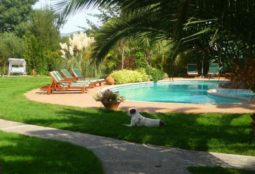 هتل Boutique Solaz Bella Vista De Colchagua