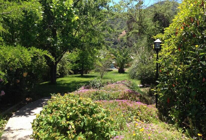 هتل Boutique Solaz Bella Vista De Colchagua