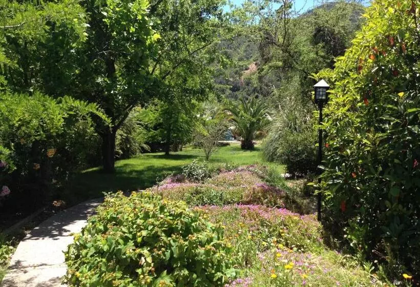 هتل Boutique Solaz Bella Vista De Colchagua