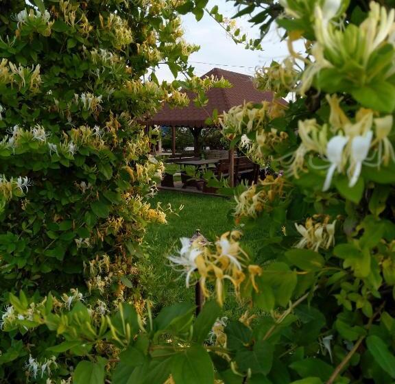 בית מלון כפרי Coral