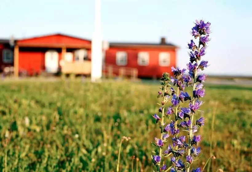 Hotelli Stf Bunge Vandrarhem