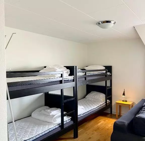 Vandrarhem Nattmössan