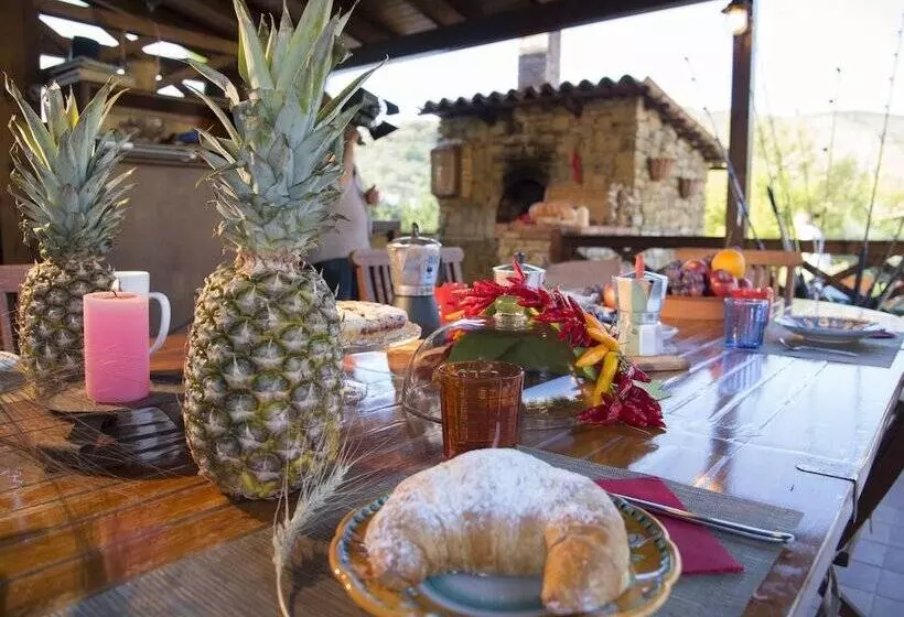 Villa Tresino B&b