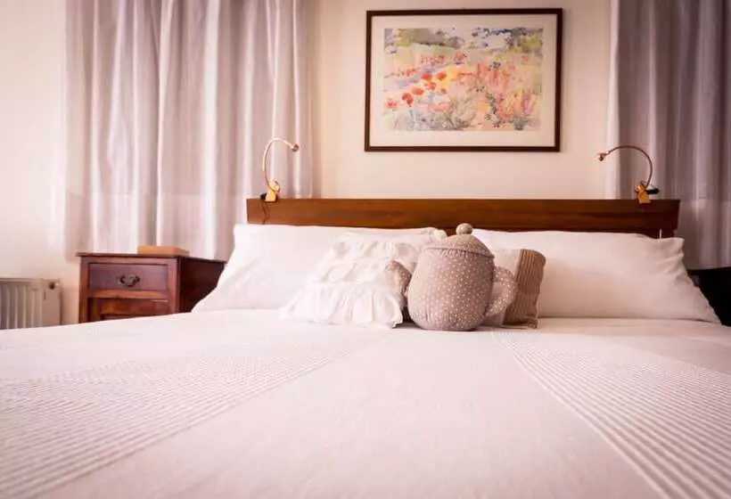 Achillea B&b