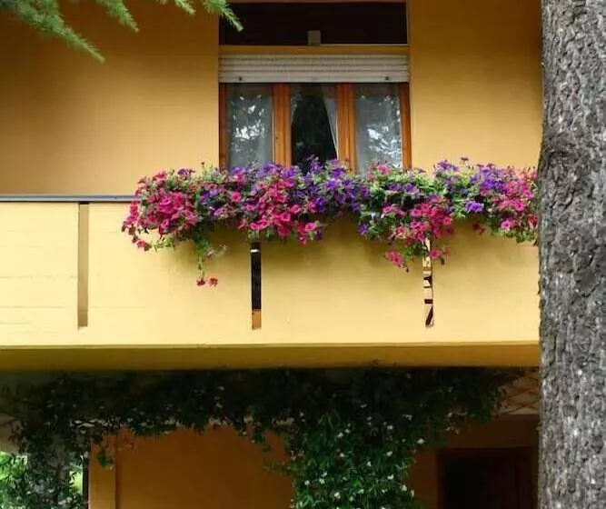 B&b Igea 50