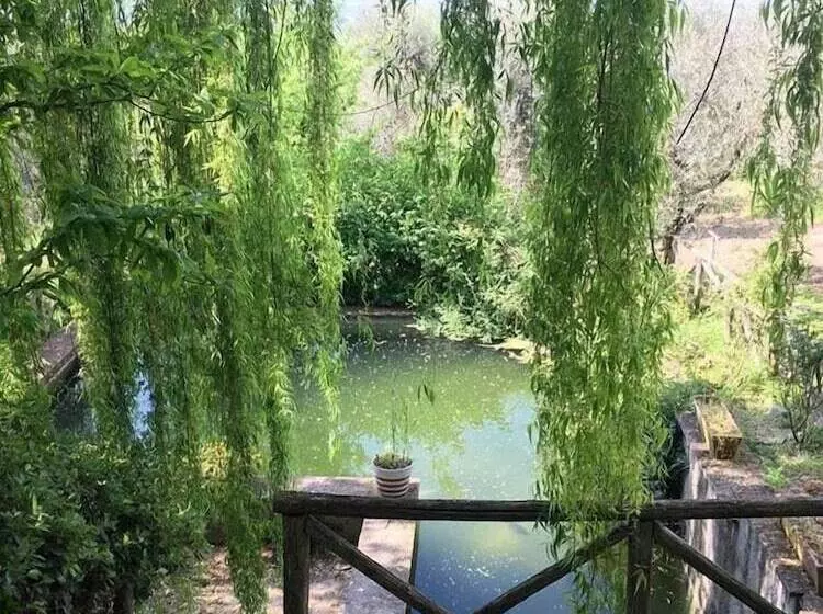 ベッドアンドブレックファースト Agriturismo Podere Pescara