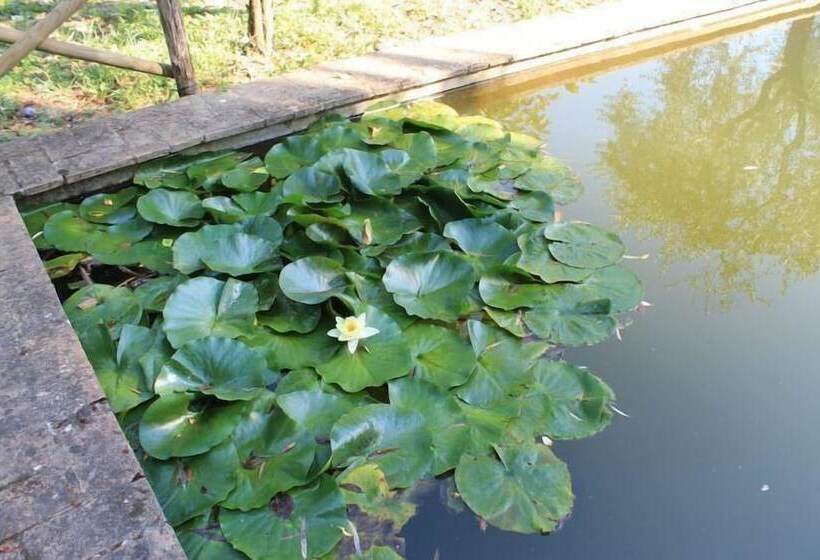 مبيت وإفطار Agriturismo Podere Pescara