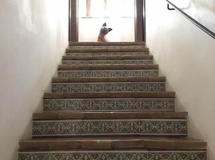 مبيت وإفطار Agriturismo Podere Pescara